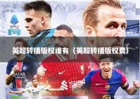 英超转播版权谁有（英超转播版权费）