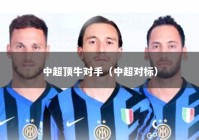 中超顶牛对手（中超对标）