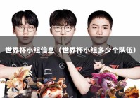 世界杯小组信息（世界杯小组多少个队伍）
