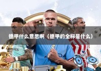 德甲什么意思啊（德甲的全称是什么）