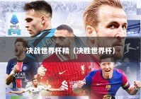 决战世界杯精（决胜世界杯）