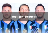 世界杯番外（世界杯w）